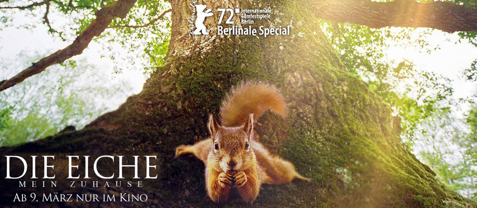 Die Eiche Mein Zuhause Film Kino