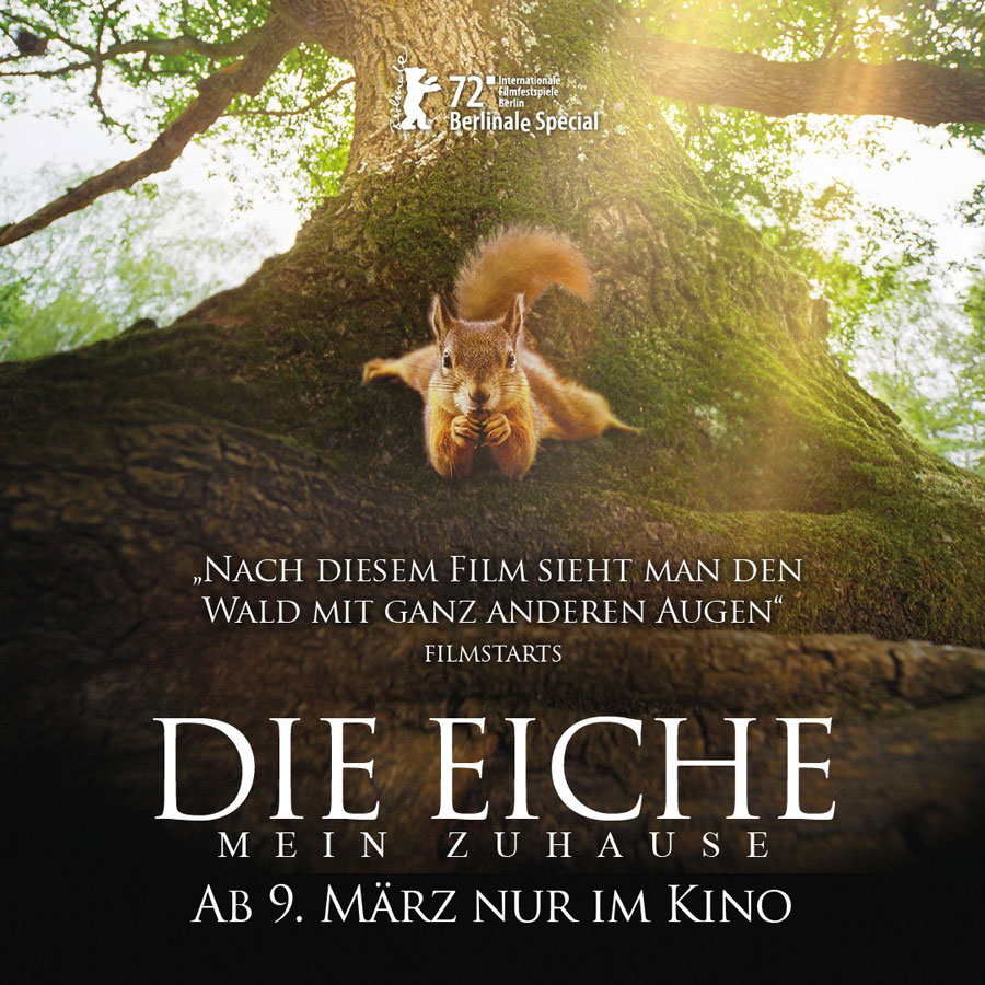 Die Eiche Mein Zuhause Naturfilm